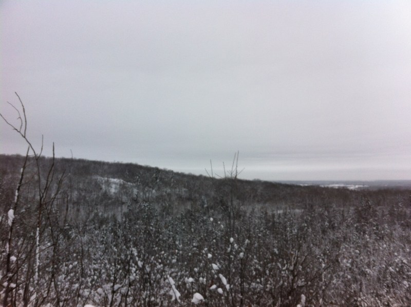 View of the Gatineau Park from one of the climbs.