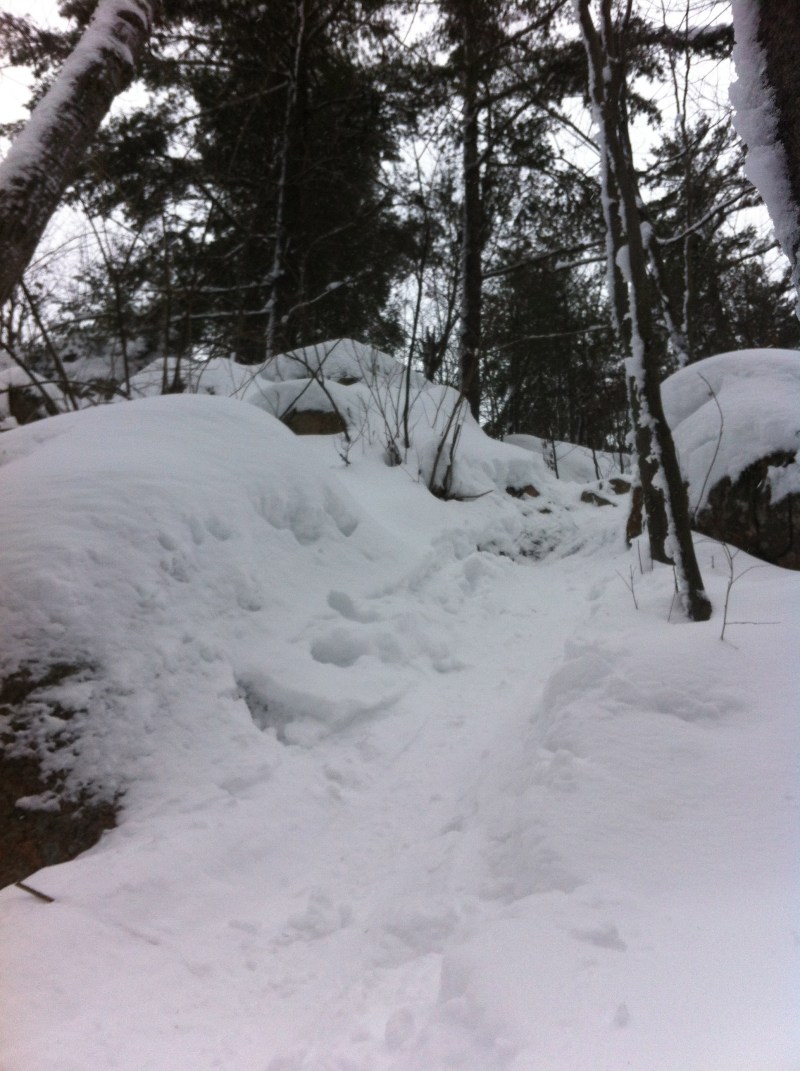 Super steep climb. Fun going up and even more fun going down!